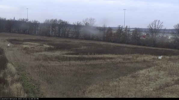 Cell 2_23-12-22_12-09-54-63