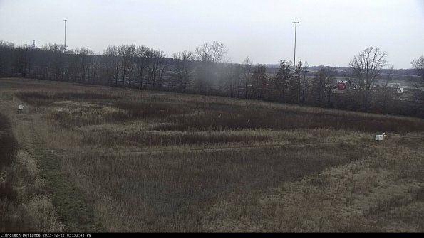 Cell 2_23-12-22_15-30-48-66