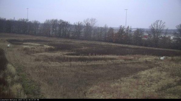 Cell 2_23-12-22_16-37-47-69