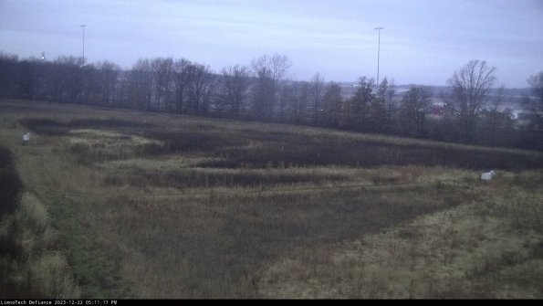 Cell 2_23-12-22_17-11-17-64