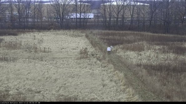 Cell 3 to 4_23-12-22_09-56-37-60