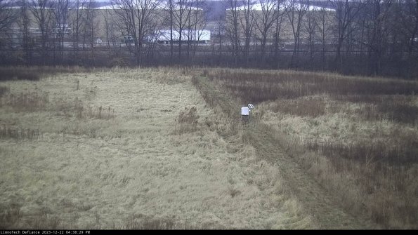 Cell 3 to 4_23-12-22_16-38-29-63