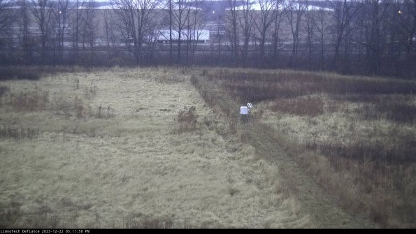 Cell 3 to 4_23-12-22_17-11-58-61