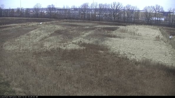 Cell 3_23-12-22_10-29-53-61