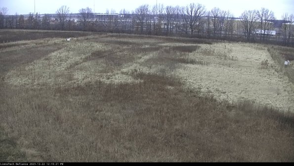 Cell 3_23-12-22_12-10-21-82