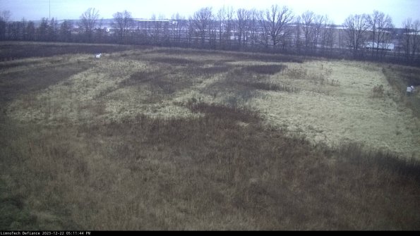 Cell 3_23-12-22_17-11-44-83