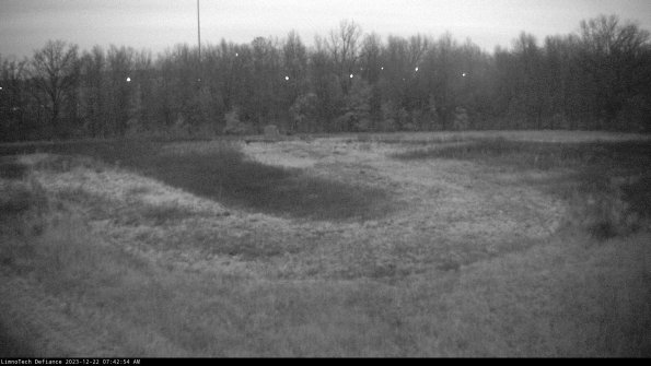 Cell 4_23-12-22_07-42-54-60