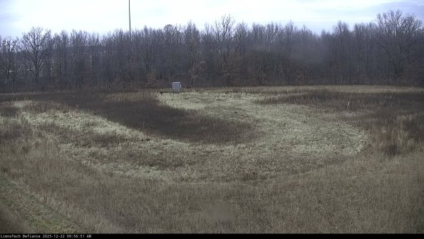 Cell 4_23-12-22_09-56-51-62