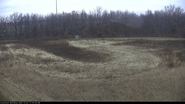 Cell 4_23-12-22_11-37-20-60