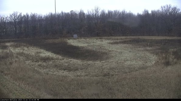 Cell 4_23-12-22_12-10-49-62