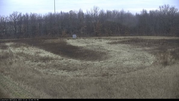 Cell 4_23-12-22_12-44-19-60