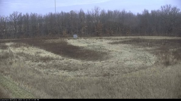 Cell 4_23-12-22_13-17-49-61