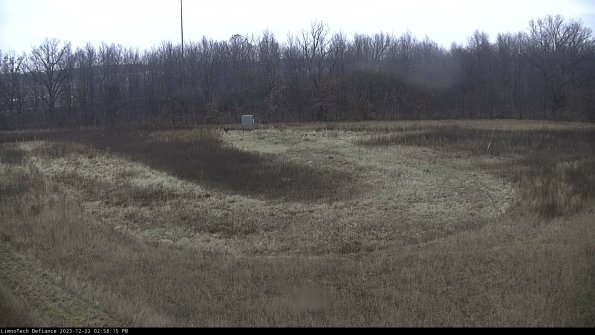 Cell 4_23-12-22_14-58-15-60