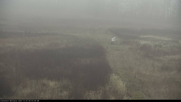 Cell 1 to 2_23-12-23_09-55-49-62