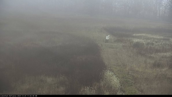 Cell 1 to 2_23-12-23_11-02-48-61