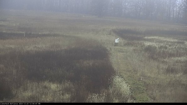 Cell 1 to 2_23-12-23_12-09-47-61