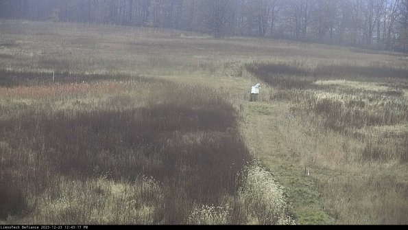 Cell 1 to 2_23-12-23_12-43-17-59