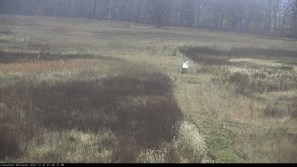 Cell 1 to 2_23-12-23_13-50-15-59