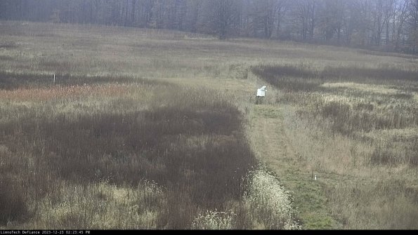 Cell 1 to 2_23-12-23_14-23-45-61