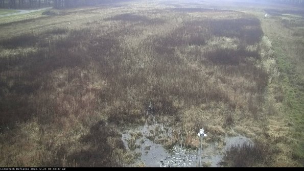 Cell 1_23-12-23_08-48-37-61