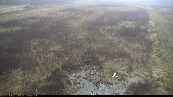 Cell 1_23-12-23_09-55-35-60