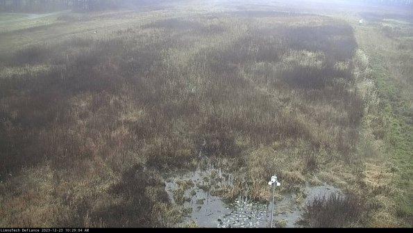 Cell 1_23-12-23_10-29-04-62