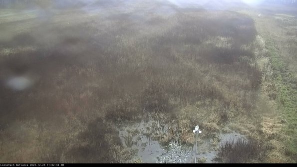 Cell 1_23-12-23_11-02-34-60