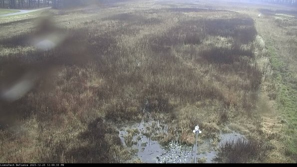 Cell 1_23-12-23_12-09-33-60