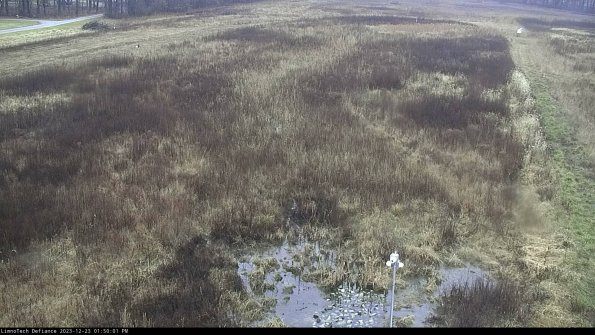 Cell 1_23-12-23_13-50-01-58