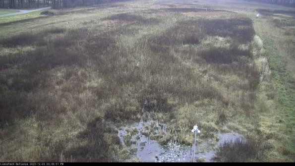 Cell 1_23-12-23_15-30-31-59