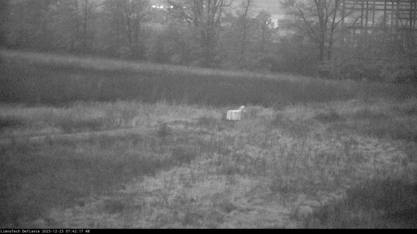 Cell 2 to 3_23-12-23_07-42-17-85