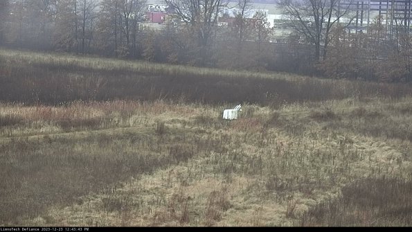 Cell 2 to 3_23-12-23_12-43-43-72