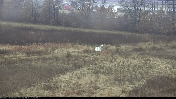 Cell 2 to 3_23-12-23_13-17-12-77