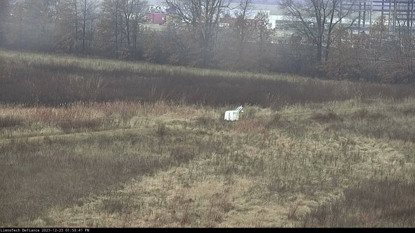 Cell 2 to 3_23-12-23_13-50-41-72