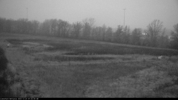 Cell 2_23-12-23_07-42-04-74