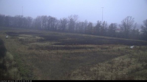 Cell 2_23-12-23_08-15-34-62