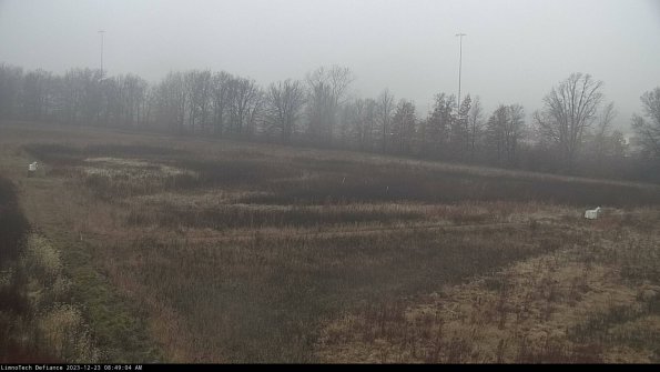 Cell 2_23-12-23_08-49-04-63