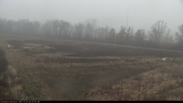 Cell 2_23-12-23_09-22-33-61