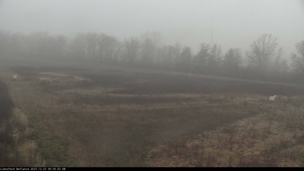 Cell 2_23-12-23_09-56-02-70