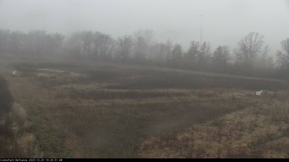 Cell 2_23-12-23_10-29-31-64