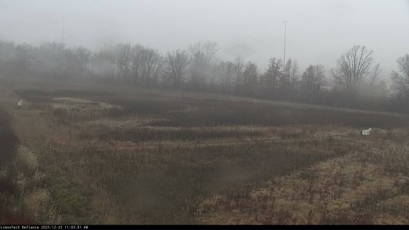 Cell 2_23-12-23_11-03-01-63