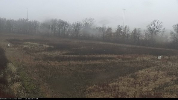 Cell 2_23-12-23_12-10-00-66