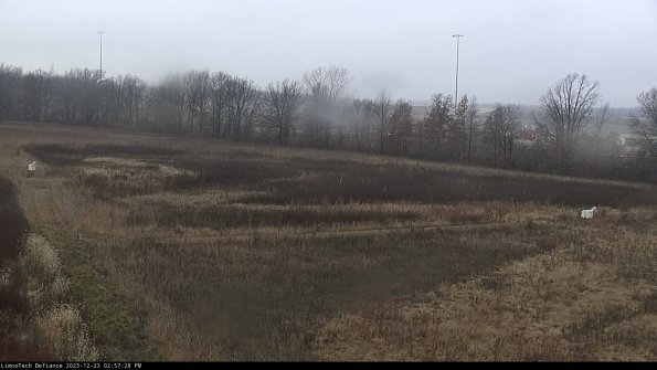 Cell 2_23-12-23_14-57-28-64