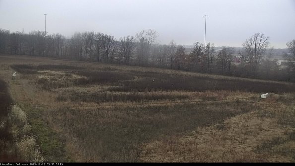 Cell 2_23-12-23_15-30-58-72