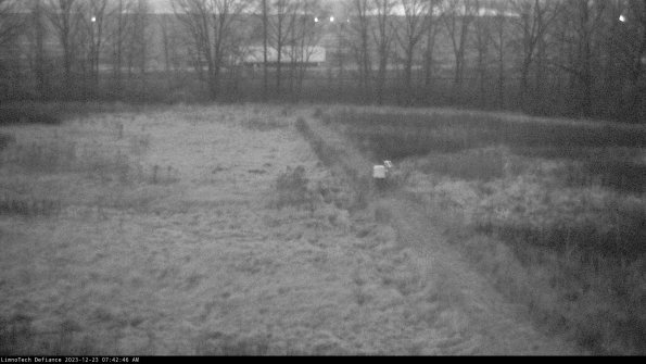 Cell 3 to 4_23-12-23_07-42-46-61