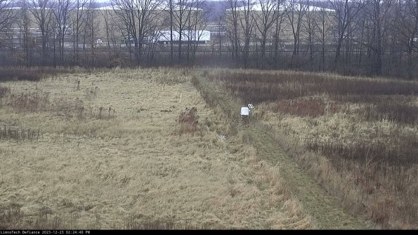 Cell 3 to 4_23-12-23_14-24-40-60