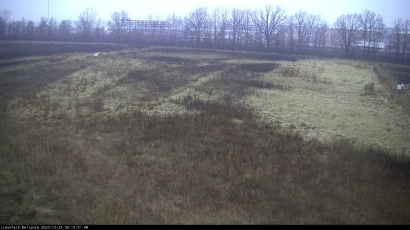 Cell 3_23-12-23_08-16-01-85