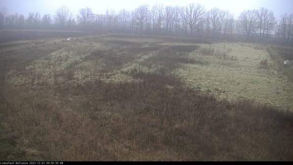 Cell 3_23-12-23_09-56-30-63