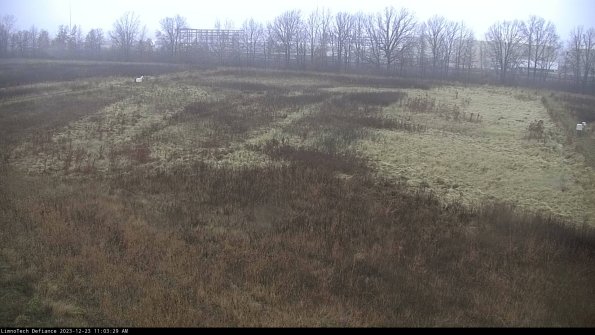 Cell 3_23-12-23_11-03-29-59