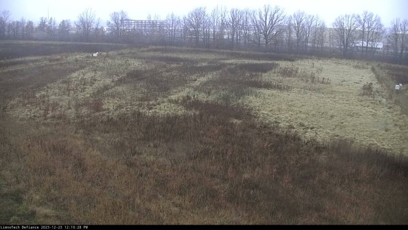 Cell 3_23-12-23_12-10-28-59